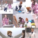 잉꼬하우스 이미지