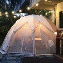 세이스테이 이미지