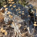 가당정류소 이미지