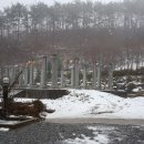 아로니아민박 이미지