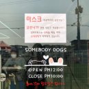 썸바디 독스 이미지