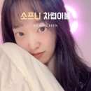 소프니