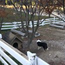 우적농장 | 남해 상상 양떼 목장 후기 / 언니와 함께 남해여행 당일치기 3