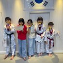 한국체대 정재환 태권도 이미지