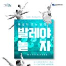 해설이 있는 발레이야기 이미지