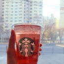 스타벅스 구로고척점 이미지