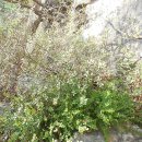 새동네어린이집 이미지