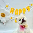 로고스 동물병원 이미지