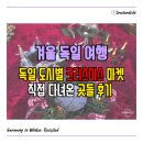 로젠하임 | 독일 크리스마스 마켓 도시별 일정 분위기 직접다녀온 후기