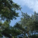 나무그늘 밑의 휴식 이미지