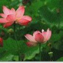 공존(共存) 이미지