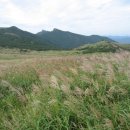 꿈의 향연-2007 이미지