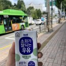 (집)(주)쿱스토어 철산점 | [7월 넷째 주] 상경 후 계곡은 처음이라...