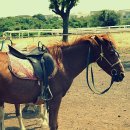 서광자연 이미지