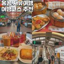 신기한 동식물여행 2 | 홍콩 자유여행 2박3일 일정 호텔 여행코스 총정리