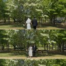 하단동1141 이미지