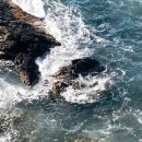 구천동한의원 | 매교동기관지염 참지마세요!