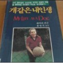 미던