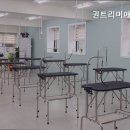 권트리머애견미용학원 네이버블로그