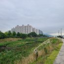 풍덕중 길 이미지