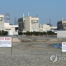 월성인쇄 이미지