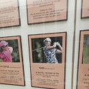 세계골프역사박물관 이미지