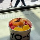 라바하우스 민박 | [🇦🇺호주 시드니 7박8일] #1. DAY1 | 싱글오, 요치, 미세스 맥쿼리 포인트, 오페라하우스, 오페라바