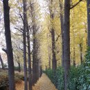 송정제방길 이미지