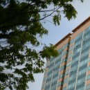 디에이치안광병신경과의원 이미지