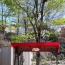 요셉유치원 이미지