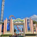 월드코스트온라인 이미지