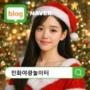 (야간)민화 이미지