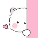 보리네펫살롱 네이버블로그
