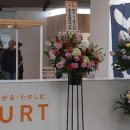 건강당약국 이미지