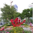 백화화원 이미지