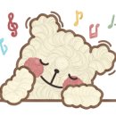 베리애견미용 이미지