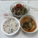 향동베스트세탁 | 9월 둘쨋주 일상 (수영과 약간의 런닝을 곁들인…)