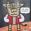 영진농장 | 경북대 산격캠 1년 차의 텍문, 농장문 맛집털이