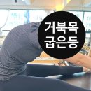 라온플랜 | 왕복4시간 거리 충청에서 오시는 심한 거북목 라온님후기