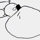 강릉댕댕이애견펜션블루 이미지