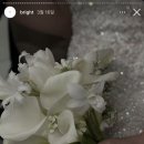 아이폰 스냅 추천 / 강동루벨 웨딩홀 매료스냅 계약후기