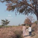 추억 이미지