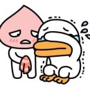 태봉신발