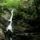 조무락계곡 이미지