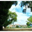 임고초등학교 이미지