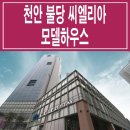 리아하우스 Daum카페