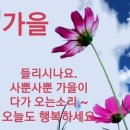 소금인형님 이미지