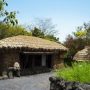 표선리-34 이미지