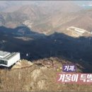 행복앤 거제천년초