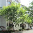 서구-02-103 이미지